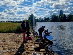 Mainschwimmen Juni 2026